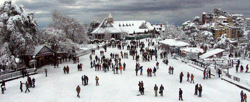 Welcome to the DAV Shimla Alumni Association